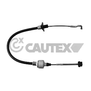 80113 CAUTEX