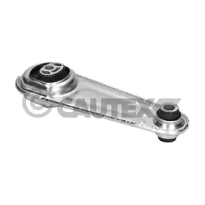 CAUTEX 021505