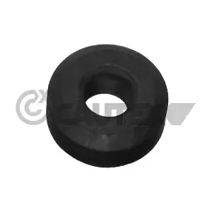 010568 CAUTEX