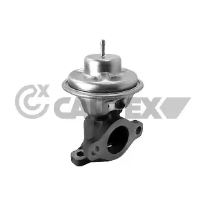 770400 CAUTEX