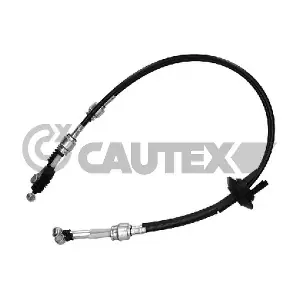772599 CAUTEX