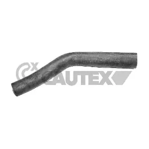 081050 CAUTEX