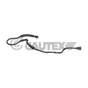 776304 CAUTEX