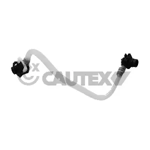 775595 CAUTEX