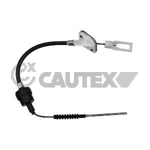 81120 CAUTEX
