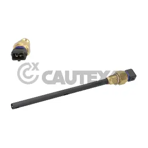 771151 CAUTEX