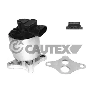 757582 CAUTEX