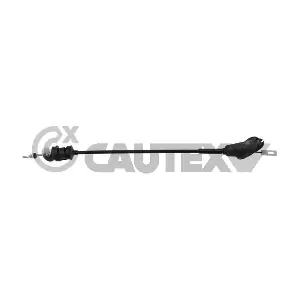 038320 CAUTEX