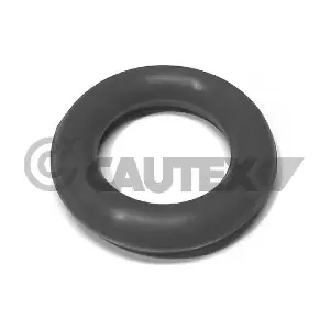 020125 CAUTEX