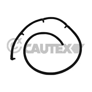 757300 CAUTEX