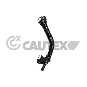 771242 CAUTEX