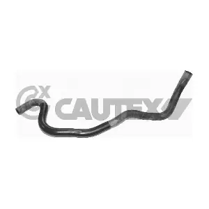 026491 CAUTEX