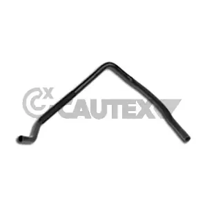 031302 CAUTEX