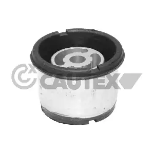 481137 CAUTEX