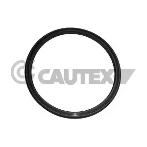 CAUTEX 751979