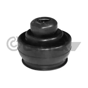 010738 CAUTEX