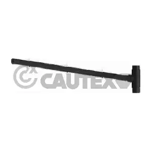 8022 CAUTEX