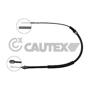 038241 CAUTEX