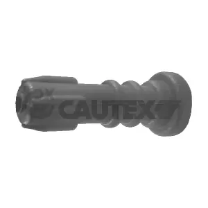 018769 CAUTEX