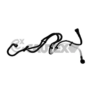771325 CAUTEX