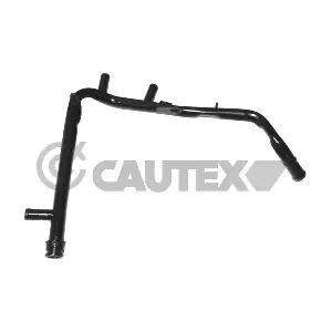 955316 CAUTEX