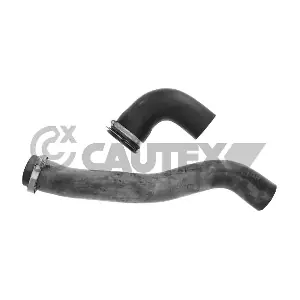 771025 CAUTEX