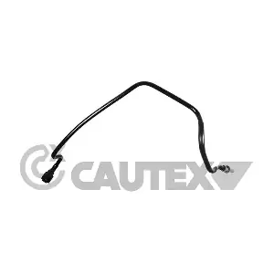 775583 CAUTEX