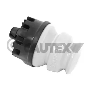 771979 CAUTEX