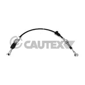 766113 CAUTEX