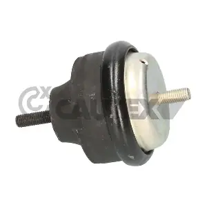 CAUTEX 030108