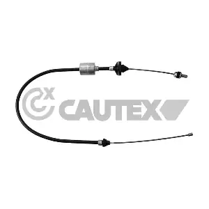 028387 CAUTEX