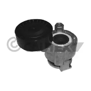 CAUTEX 021510