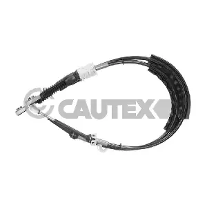 772642 CAUTEX