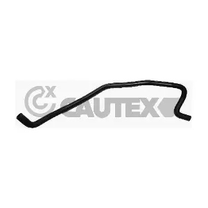 481052 CAUTEX