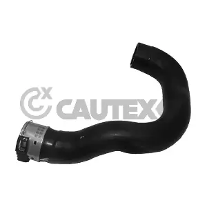 486700 CAUTEX