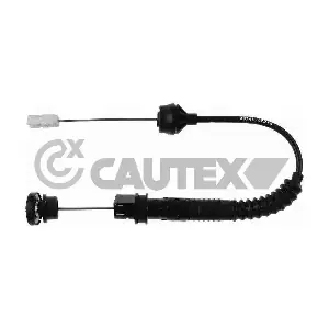 038463 CAUTEX