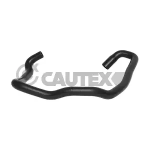 086731 CAUTEX