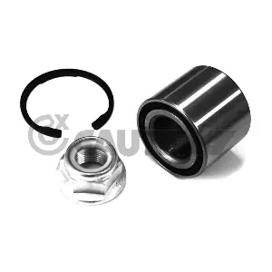 CAUTEX 462601
