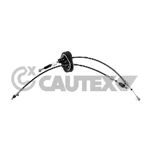772616 CAUTEX