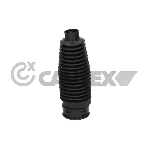 031455 CAUTEX