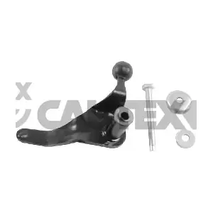 CAUTEX 031372