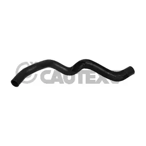 026851 CAUTEX