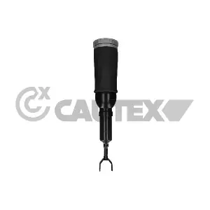 751961 CAUTEX