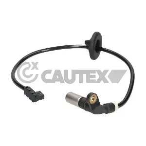 755200 CAUTEX
