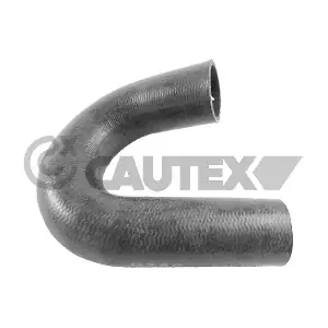 756945 CAUTEX