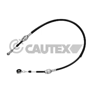 772565 CAUTEX