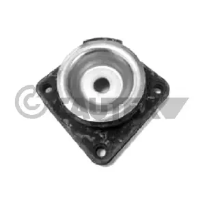 CAUTEX 250078
