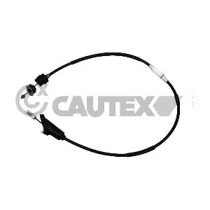 038438 CAUTEX