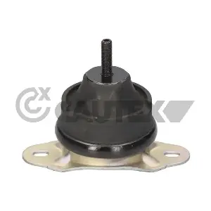 031496 CAUTEX