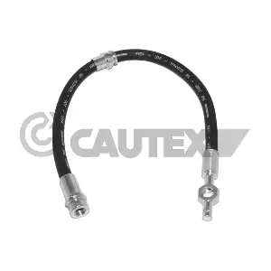 756073 CAUTEX